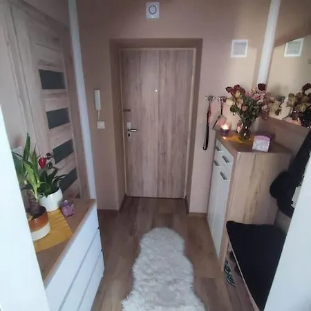 Stylovy Apartment